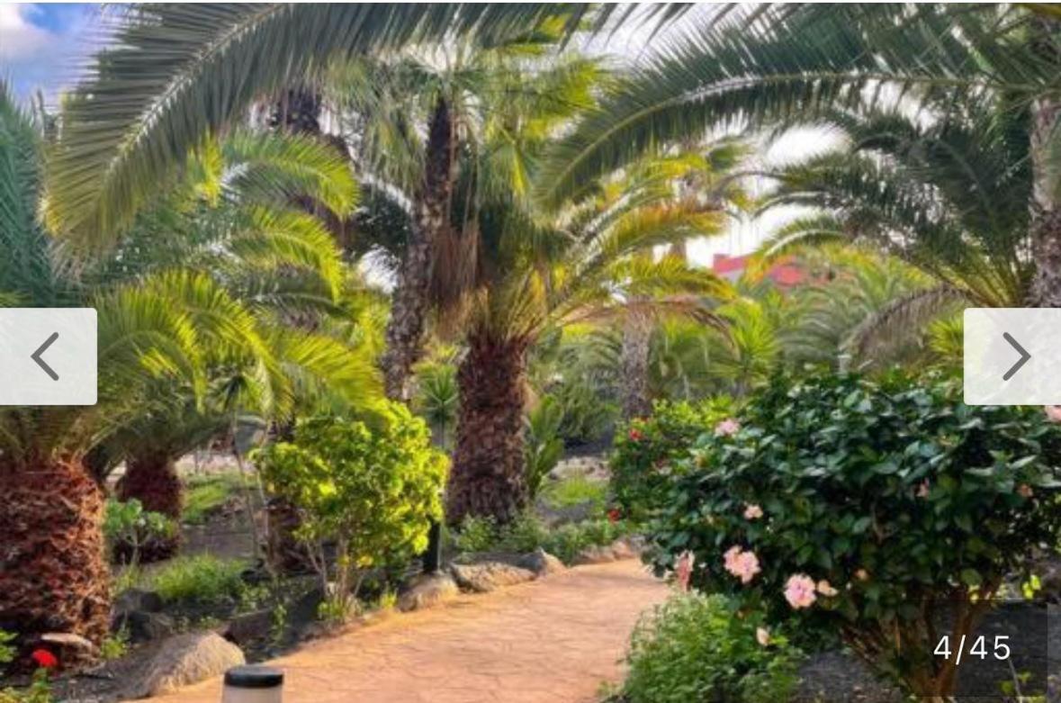 New Tamarindo La Ola Διαμέρισμα Κοραλέχο Εξωτερικό φωτογραφία